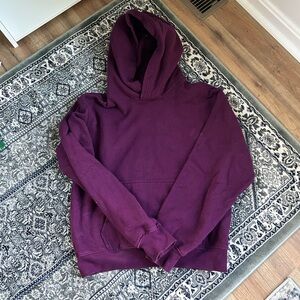 Aritzia TNA Hoodie